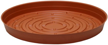 Curtis Wagner Plastics 6″ Terracotta Plant Saucer