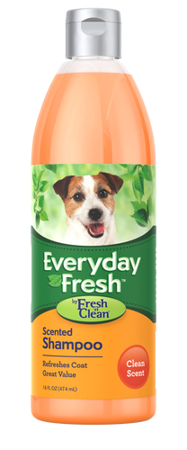 Everyday Fresh™ by Fresh ’n Clean® - Scented Shampoo - Clean Scent (16-oz)