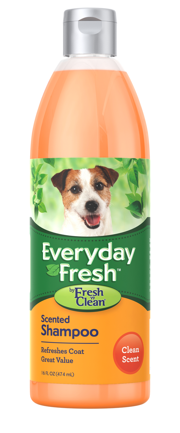 Everyday Fresh™ by Fresh ’n Clean® - Scented Shampoo - Clean Scent (16-oz)