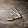 Case Peach Seed Jig Amber Bone Fishing Knife (Amber Bone)