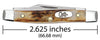 Case Genuine Stag Small Pen (Genuine Stag)