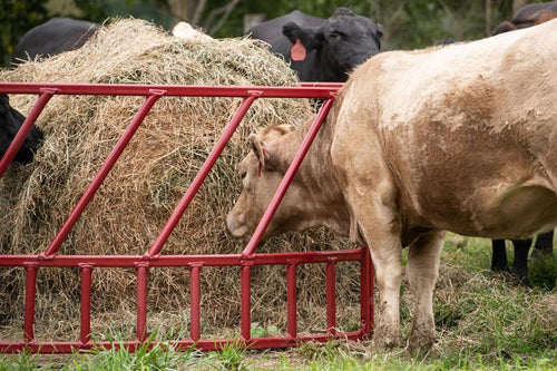 Tarter Steelcor Cattle Hay Feeder (2 Piece, Red)