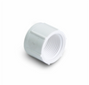 Genova Products Threaded Cap (FIP) (1)