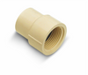 Genova Products 1/2 in. Slip x 1/2 in. Dia. FPT CPVC Pipe Adapter (1/2 x 1/2)