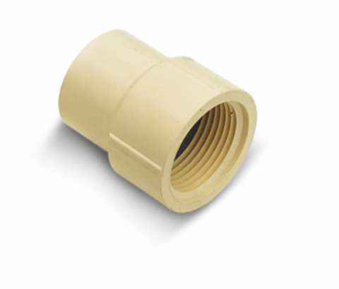 Genova Products 1/2 in. Slip x 1/2 in. Dia. FPT CPVC Pipe Adapter (1/2