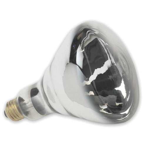 HEAT LAMP BULB